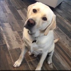 Meet your Posher, James